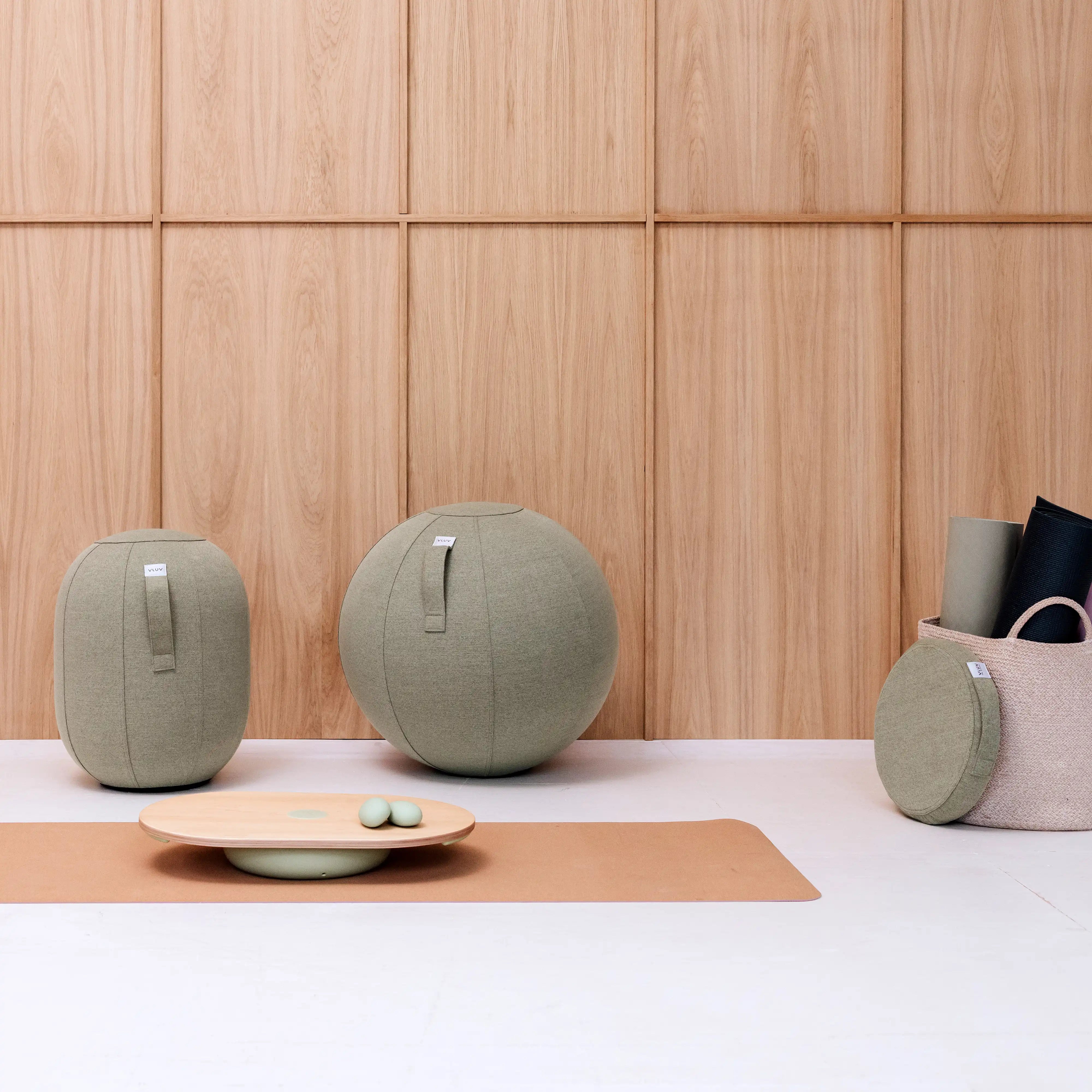 Planche d'équilibre VIPPA