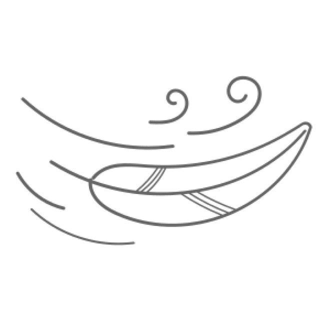 icon mobil und federleicht